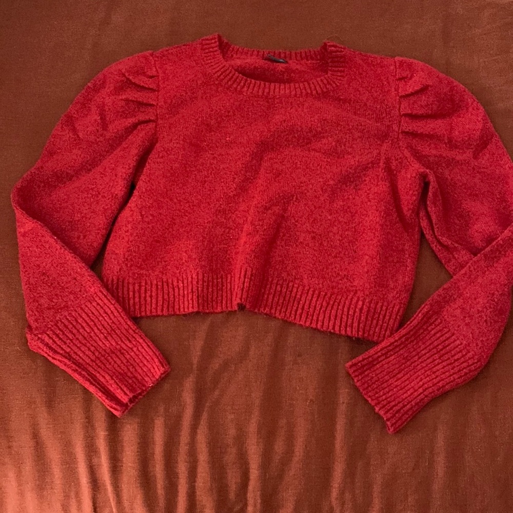 Wild fable cropped red sweater